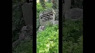Тёмный практик 💀Приворот  кладбище. Диагностика 8989-806-40-03