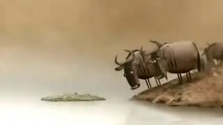 очень смешной и мотевирующий мульт
