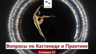 Вопросы по Кастанеде и Практике 280724