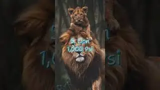 10 Strongest Animal Bite Forces In The World #shorts #top #facts #animals #viralvideo #btsshorts