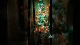 Legaron los Reyes Magos