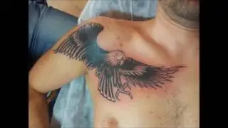 Dövme Beyaz Kedi Sanat