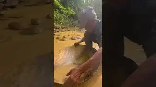 Скоро / Dominican Channel