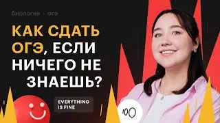 Как сдать ОГЭ по биологии, если ничего не знаешь?