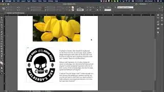 InDesign Quick Tip – Common Errors to Fix
