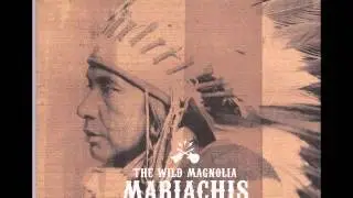 The Wild Magnolia Mariachis   Don't Trust The Suits