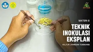 MATERI 6 TEKNIK INOKULASI EKSPLAN