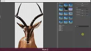 How to Convert Image to Vector in Photoshop & Illustrator