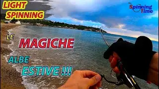 LIGHT SPINNING - LE MAGICHE ALBE ESTIVE !!!
