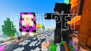 THE BEST PET ON THE HIVE HAS JUST GOT RELEASED!!!!!