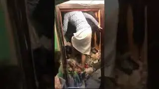 Лютая свалка в квартире
