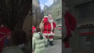 Нови Сад 