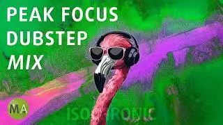 Peak Focus For Complex Tasks Dubstep Flamingo Mix with Isochronic Tones