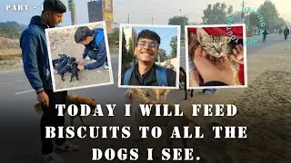 Feeding 20+ Street Dogs From My First Youtube Earning 🥰 😌