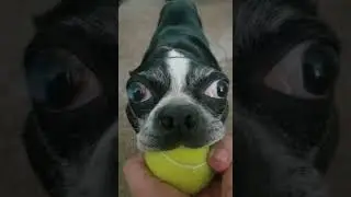 до конца 😱