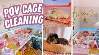 POV REAL-TIME GUINEA PIG CAGE CLEANING! 🐽🧼