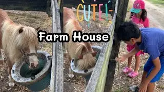 We feed the horses at farm house | so much fun