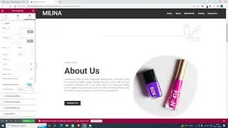 Morphing Animation for Elementor Web Design