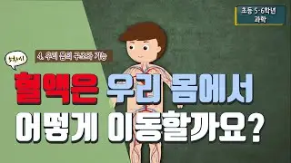 [초등 과학 6-2] 4. 우리 몸의 구조와 기능 - 5차시 혈액은 우리 몸에서 어떻게 이동할까요?