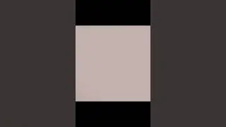 Борушики против Боро (смерть Боро)
