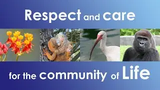 Respect and care for the community of life. (subtitles Español)