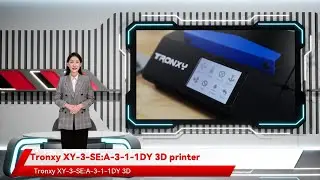 Tronxy XY-3-SE:A-3-1-1DY 3D printer