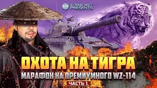 WZ-114: охота на Затаившегося тигра началась!№2