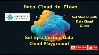 Data Cloud in Flows : Set Up a Custom Data Cloud Playground