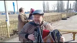 Алое поле 20230322