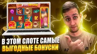 💸 Джекпоты Ждут Тебя с Первого Спина ☝️ Вся Правда Слота Dog House ⚡ Дог Хаус | Как Поднять Кэш?