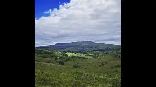 Wind On The Hill