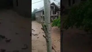Сел дар минтакахо