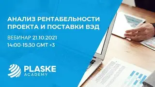 Анализ рентабельности проекта и поставки