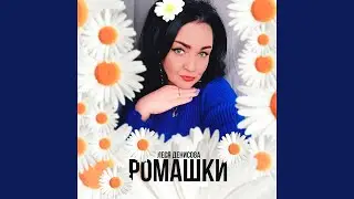 Ромашки