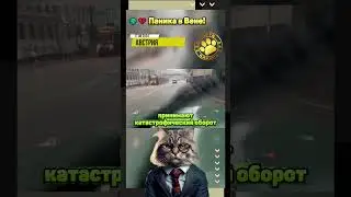 🌍💔 Паника в Вене!