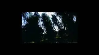 zindgi hy kitni haseen |#whatsappstatus #dailyvlog #foryou #follow #aesthetic