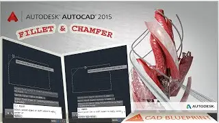 Fillet and Chamfer
