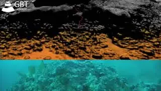 Integrating MBES, SSS & ROV Footage: High-Resolution 3D Marine Data Correlation