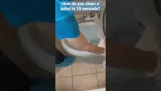 How Do You Clean a Toilet in 10 Seconds? Cleaning Tip from a Pro