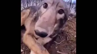Boop | Good ending
