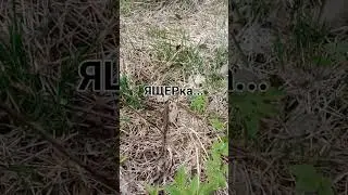 28 апреля 2024 г.