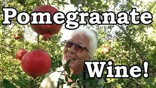 Living in Turkey, How To Clean Pomegranates and Make Them Into Wine