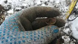 Шурф дом мельника. Серебро, редкая медь.Minelab Excalibur 2