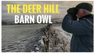 The Barn Owl At Deer Hill - Wildlife Photography