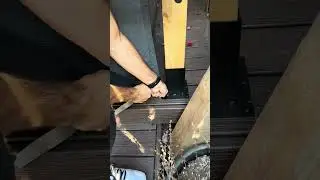 Pergola with Umbrella Top Build pt.3 ⚒️