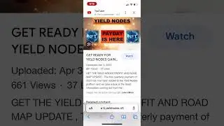 Yield Nodes NFTs are here: Scam or a new Plan?
