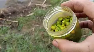 Сново Рыбалочка... Ждемссс...