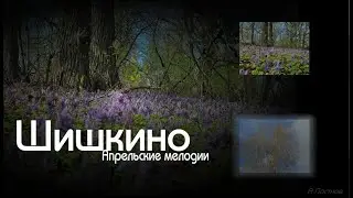 Шишкино. Апрельские мелодии. 15.04.2024г.