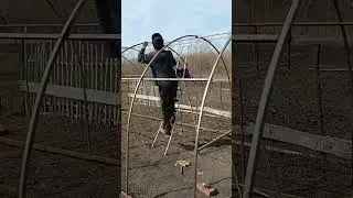 Дима в деле🤭 Ставим новую теплицу 