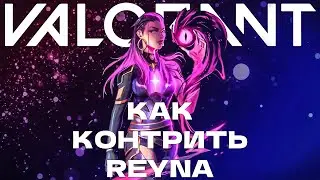 Как контрить REYNA - VALORANT - TO SovikenO